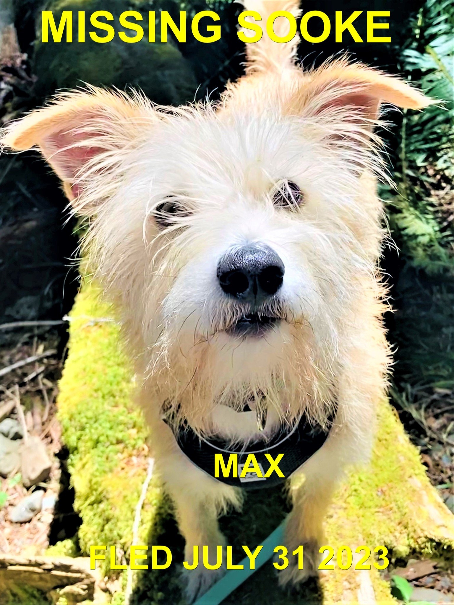 HAPPY ENDINGS - SOOKE BC. / MAX / JULY 31, 2023