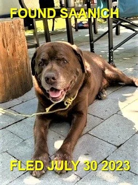 HAPPY ENDINGS -  SAANICH BC. / CHARLIE / JULY 30, 2023