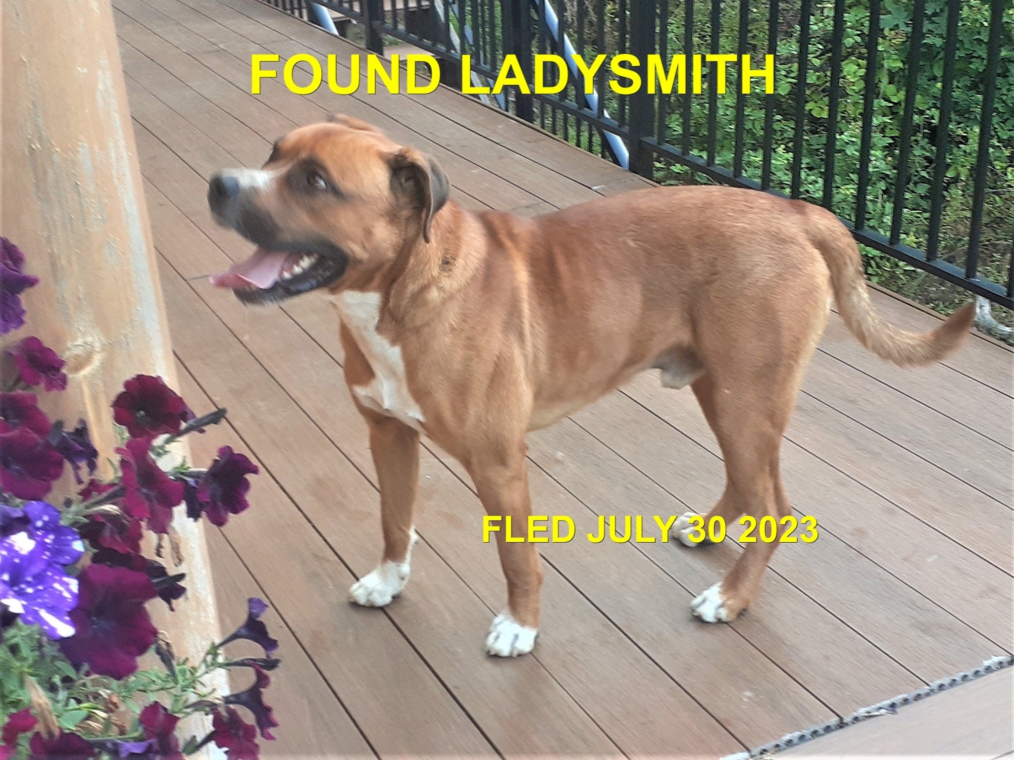 HAPPY ENDINGS - LADYSMITH BC. / JULY 30, 2023