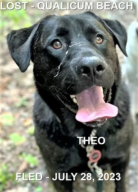 HAPPY ENDINGS - QUALICUM BEACH BC. / THEO / JULY 28, 2023