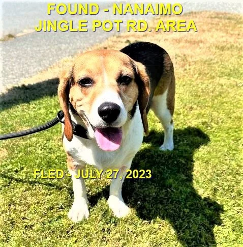 HAPPY ENDINGS - NANAIMO BC. / JULY 27, 2023