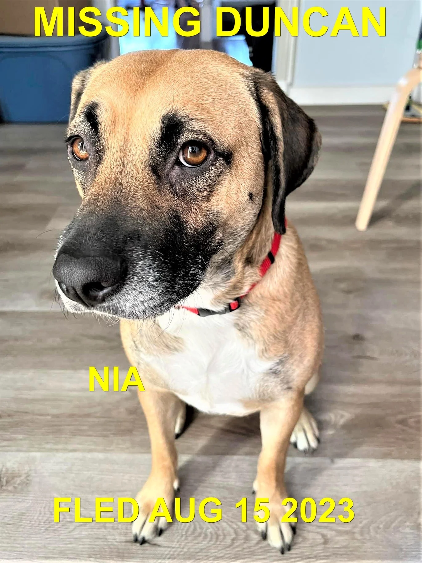 HAPPY ENDINGS - DUNCAN BC. / NIA / AUG. 15, 2023