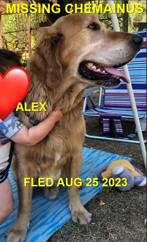 HAPPY ENDINGS - CHEMAINUS BC. / ALEX / AUG. 25, 2023