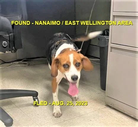 HAPPY ENDINGS - NANAIMO BC./ AUG. 25, 2023