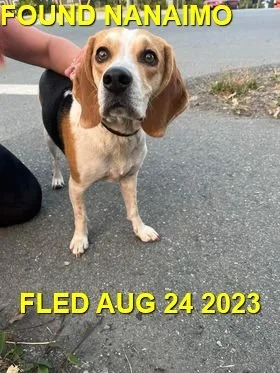 HAPPY ENDINGS - NANAIMO BC. / AUG. 24, 2023