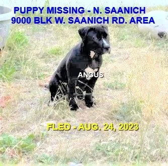 HAPPY ENDINGS - BRENTWOOD BAY BC / ANGUS / AUG. 23, 2023