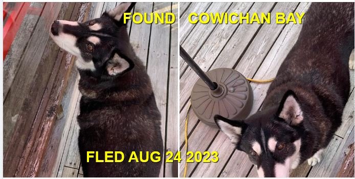 HAPPY ENDINGS - COWICHAN BAY BC. / AUG. 24, 2023