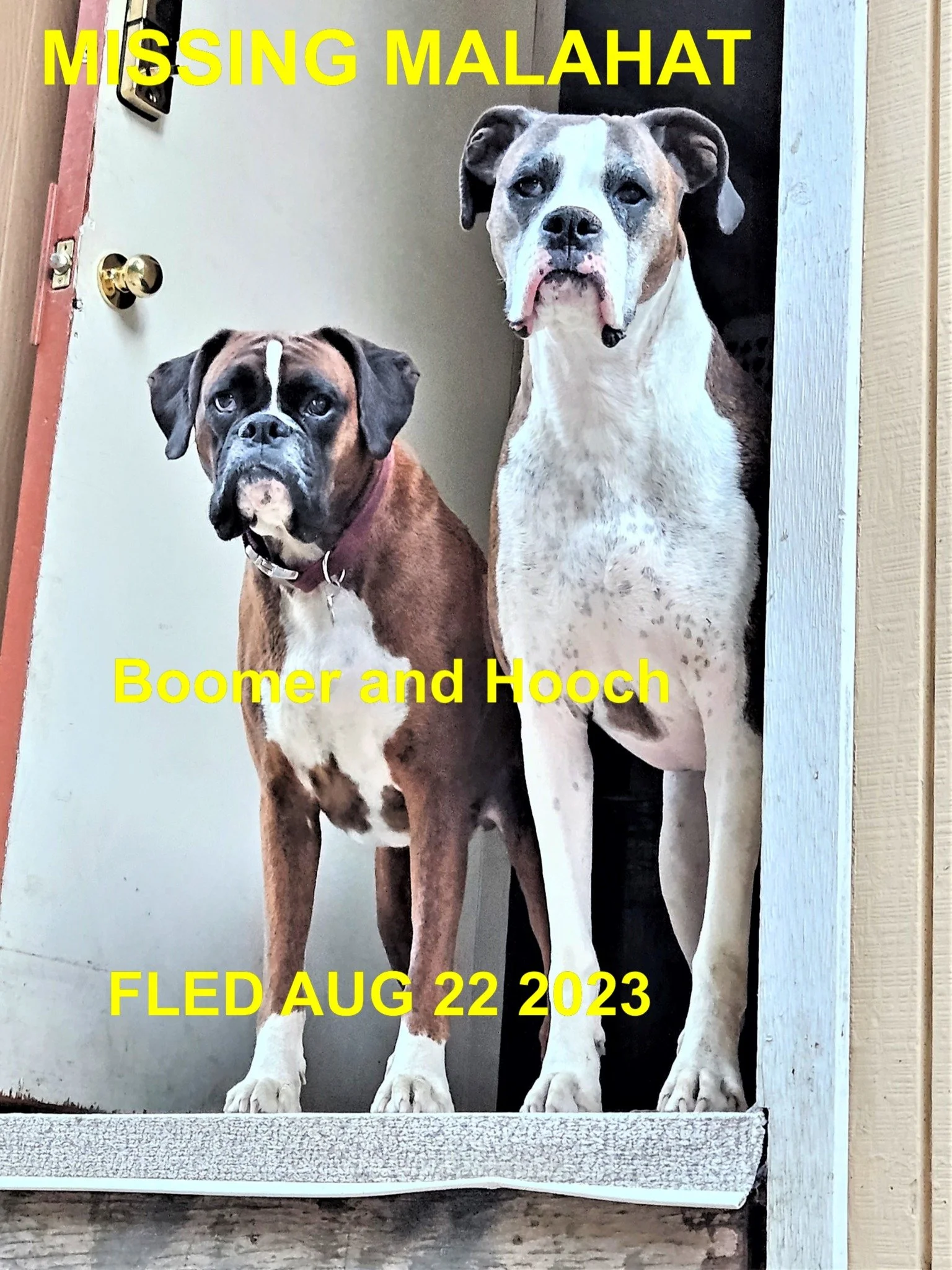 HAPPY ENDINGS - MALAHAT BC. / BOOMER &amp; HOOCH / AUG. 22, 2023