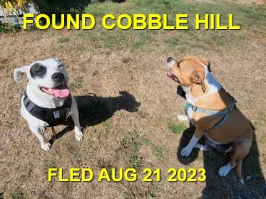 HAPPY ENDINGS - COBBLE HILL BC. / AUG.21, 2023