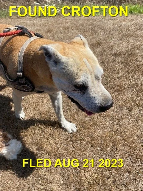 GONE TO SHELTER - CROFTON BC. / AUG. 21, 2023