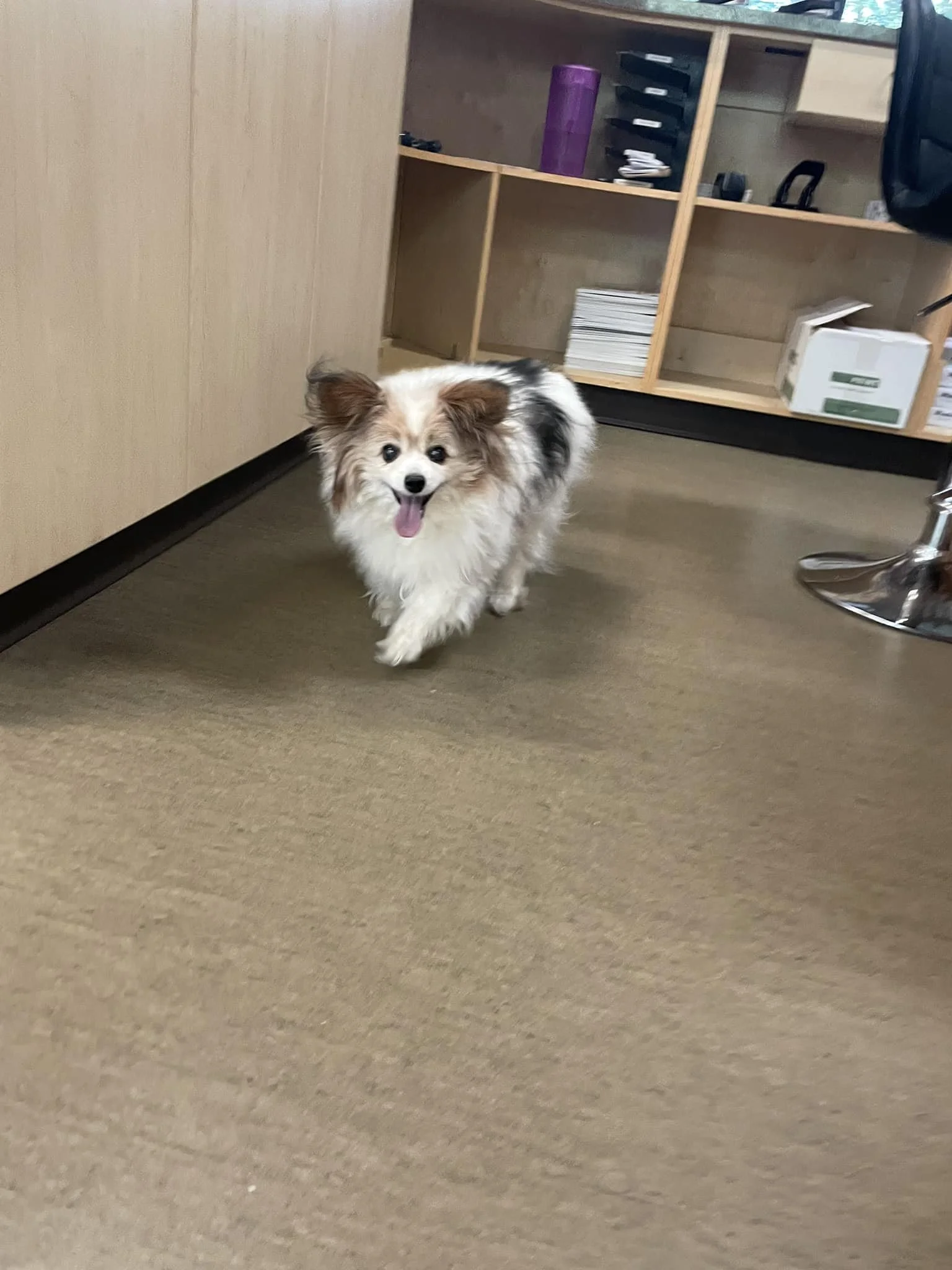 FOUND &amp; BACK HOME - NANAIMO BC. / SEPT 1, 2023