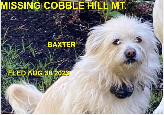 HAPPY ENDINGS - COBBLE HILL BC. / BAXTER / AUG. 30, 2023