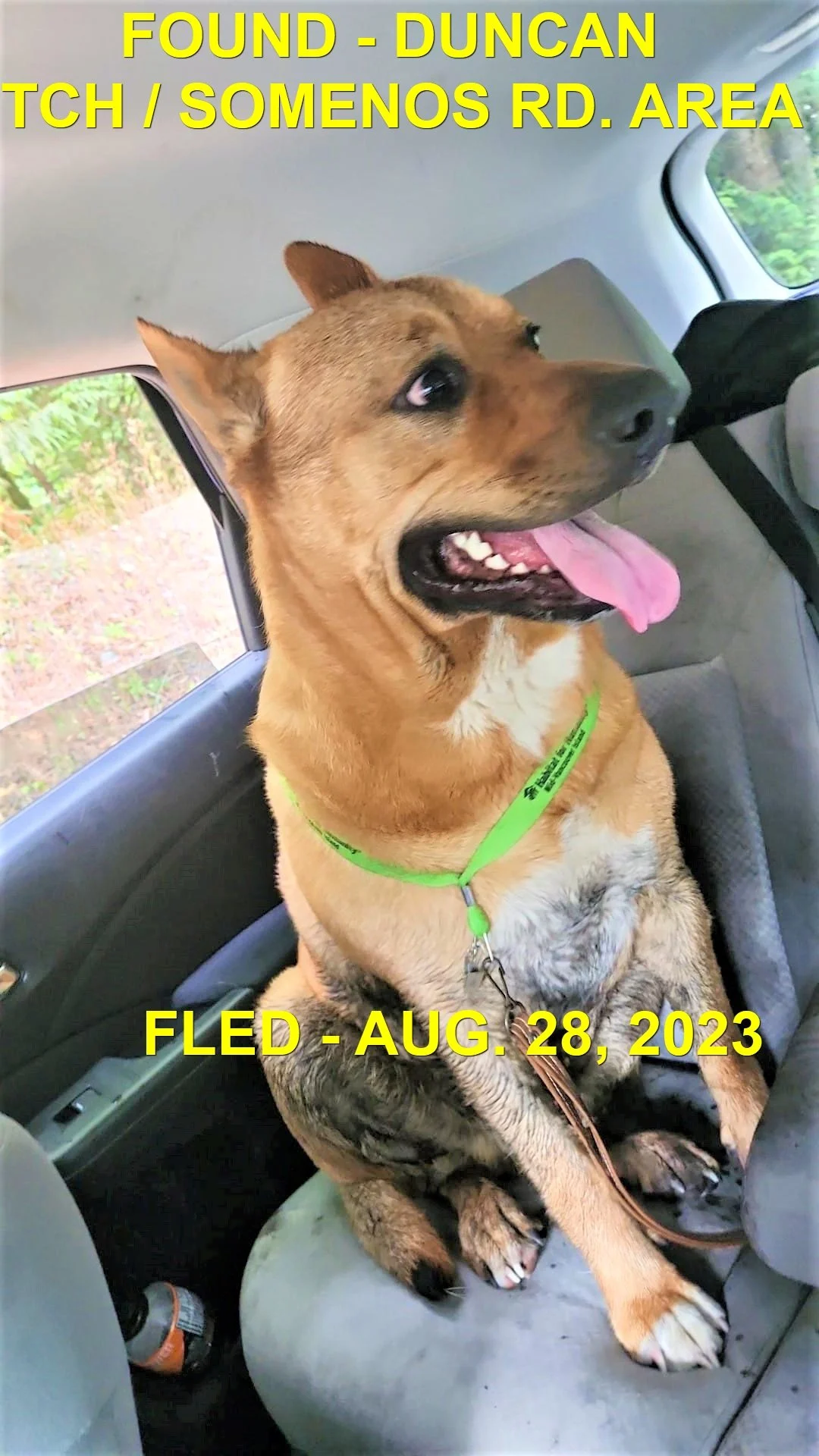 FOUND &amp; BACK HOME - DUNCAN BC. / AUG. 28, 2023