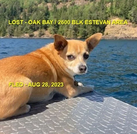 HAPPY ENDINGS - OAK BAY BC. / MOJO  AUG. 28, 2023