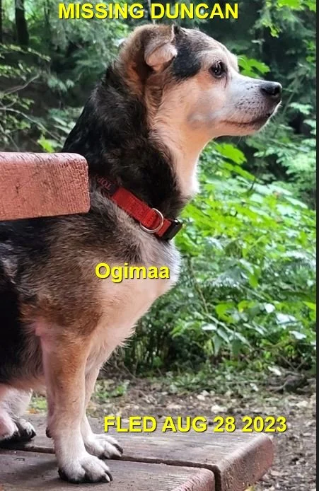OVER THE RAINBOW BRIDGE - DUNCAN BC. / OGIMAA / AUG. 27, 2023
