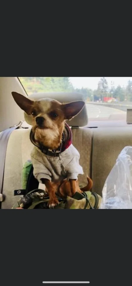 FOUND &amp; BACK HOME - NANAIMO BC. / AUG. 27, 2023