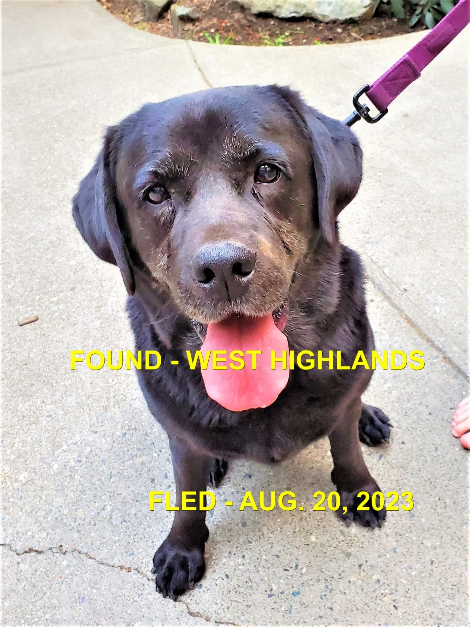 HAPPY ENDINGS - WEST HIGHLANDS BC. / COCO / AUG. 20, 2023