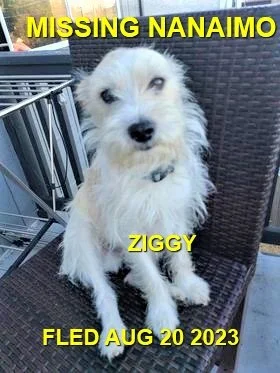 HAPPY ENDINGS - NANAIMO BC. / ZIGGY / AUG. 20, 2023