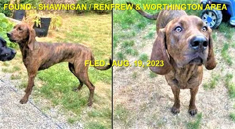 FOUND &amp; BACK HOME - SHAWNIGAN BC. / HOUND / AUG 19, 2023