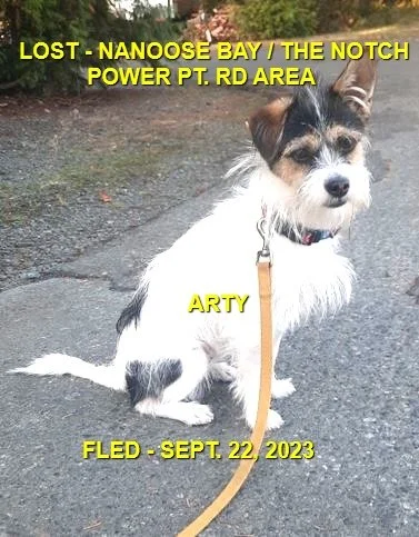      

 
    FOUND SAFE     LOST - NANOOSE BAY / THE NOTCH / POWER PT. RD AREA      City / Municipality: Nanoosebay      Area Dog is Missing: The notch      Time: 5:30 PM      Pet Name: Arty      Date: September 22, 2023      Cross Street / Trail: Po
