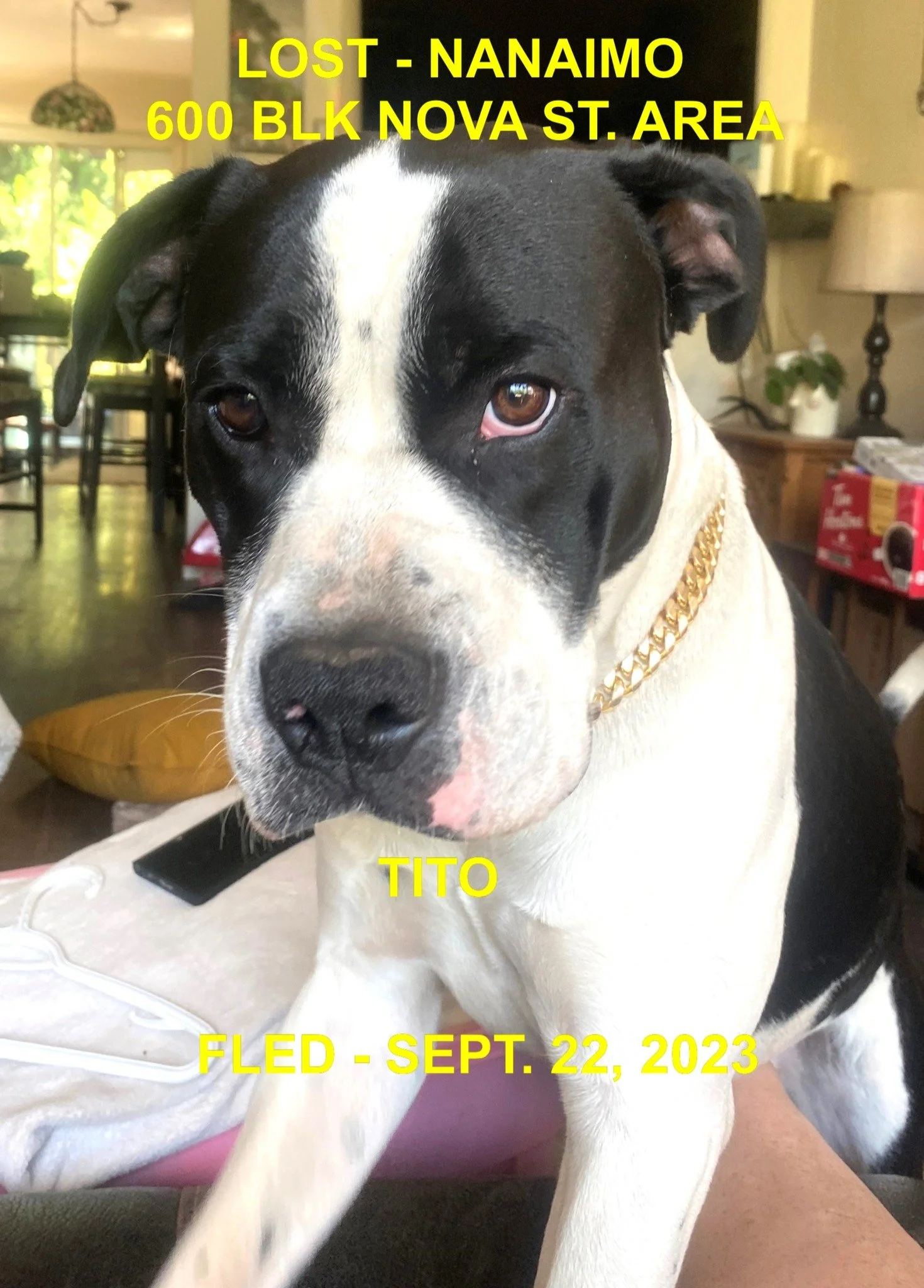 HAPPY ENDINGS - NANAIMO BC. / TITO / SEPT 22, 2023