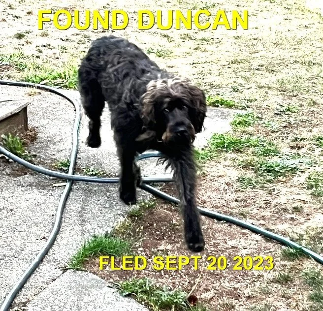 HAPPY ENDINGS - DUNCAN BC. / SEPT. 20, 2023