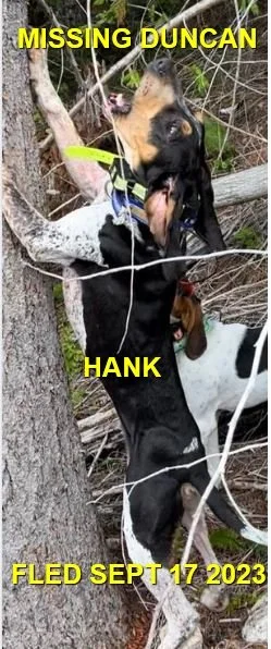 HAPPY ENDINGS - DUNCAN BC. / HANK / SEPT. 17, 2023
