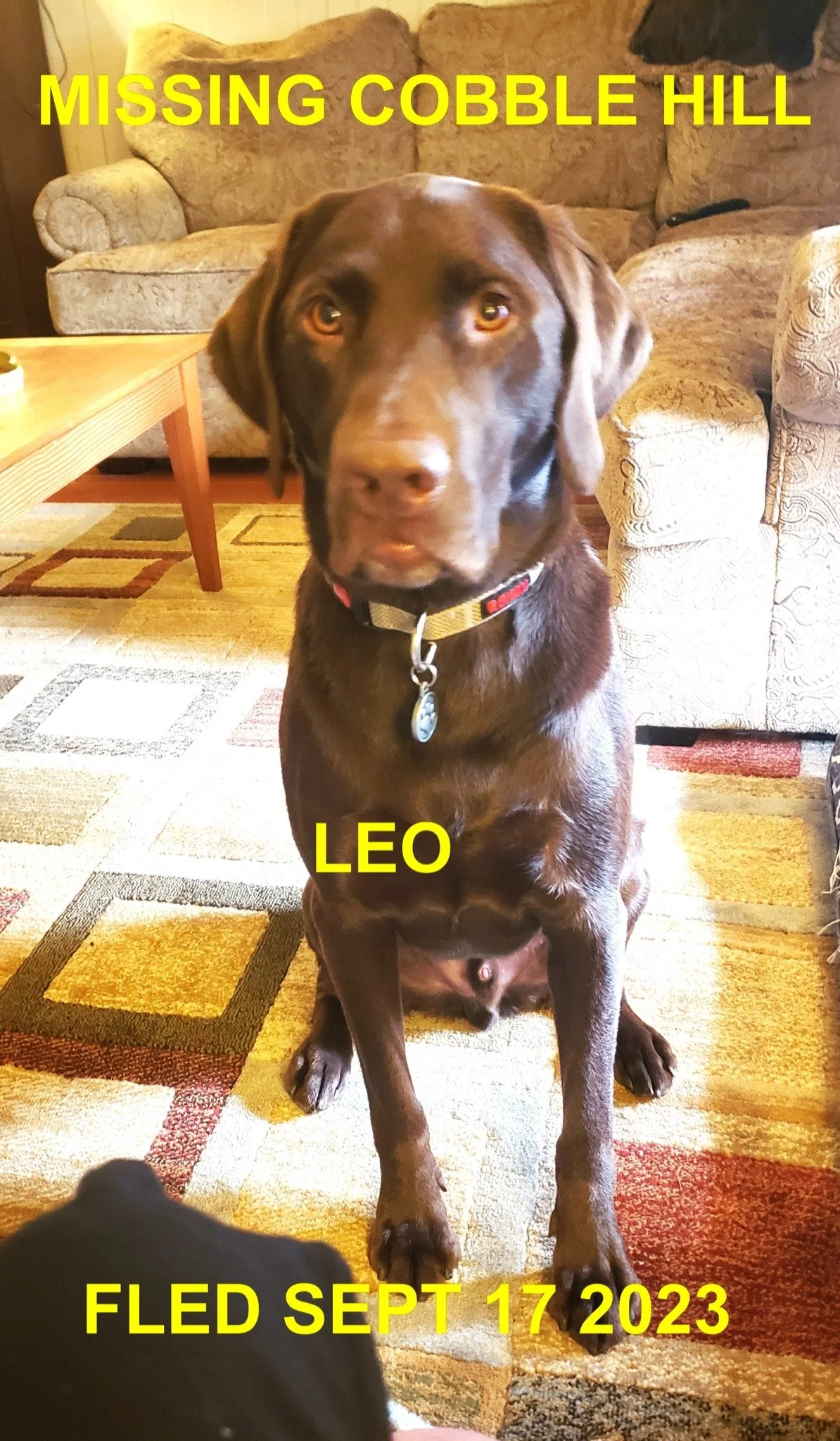 HAPPY ENDINGS - COBBLE HILL BC. / LEO / SEPT. 17, 2023