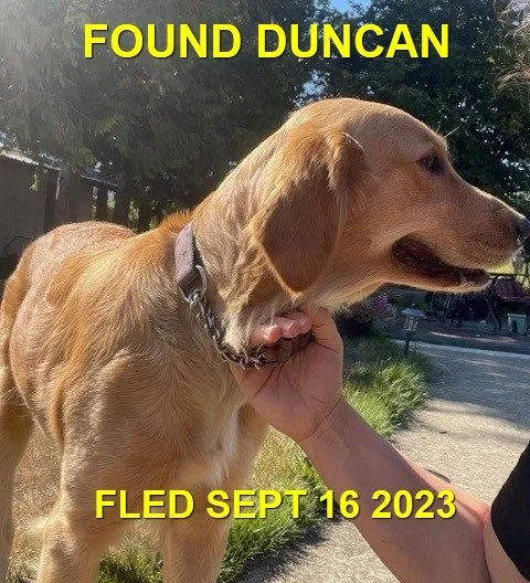 HAPPY ENDINGS - DUNCAN BC. / GRACIE / SEPT 16, 2023