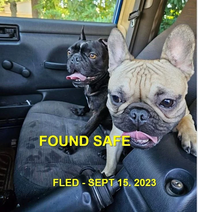 HAPPY ENDINGS - NANAIMO BC. / BO &amp; TEDDY / SEPT 15, 2023