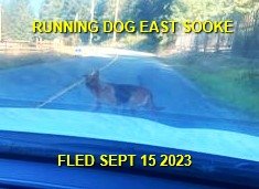 HAPPY ENDINGS - EAST SOOKE BC. / SEPT 15, 2023