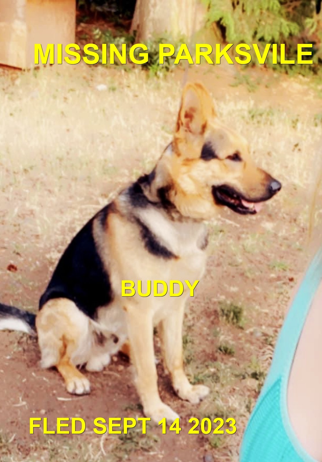 HAPPY ENDINGS - PARKSVILLE BC. / BUDDY / SEPT 14, 2023