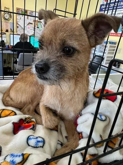 HAPPY ENDINGS - DUNCAN BC. / SCOOTER / SEPT 14, 2023