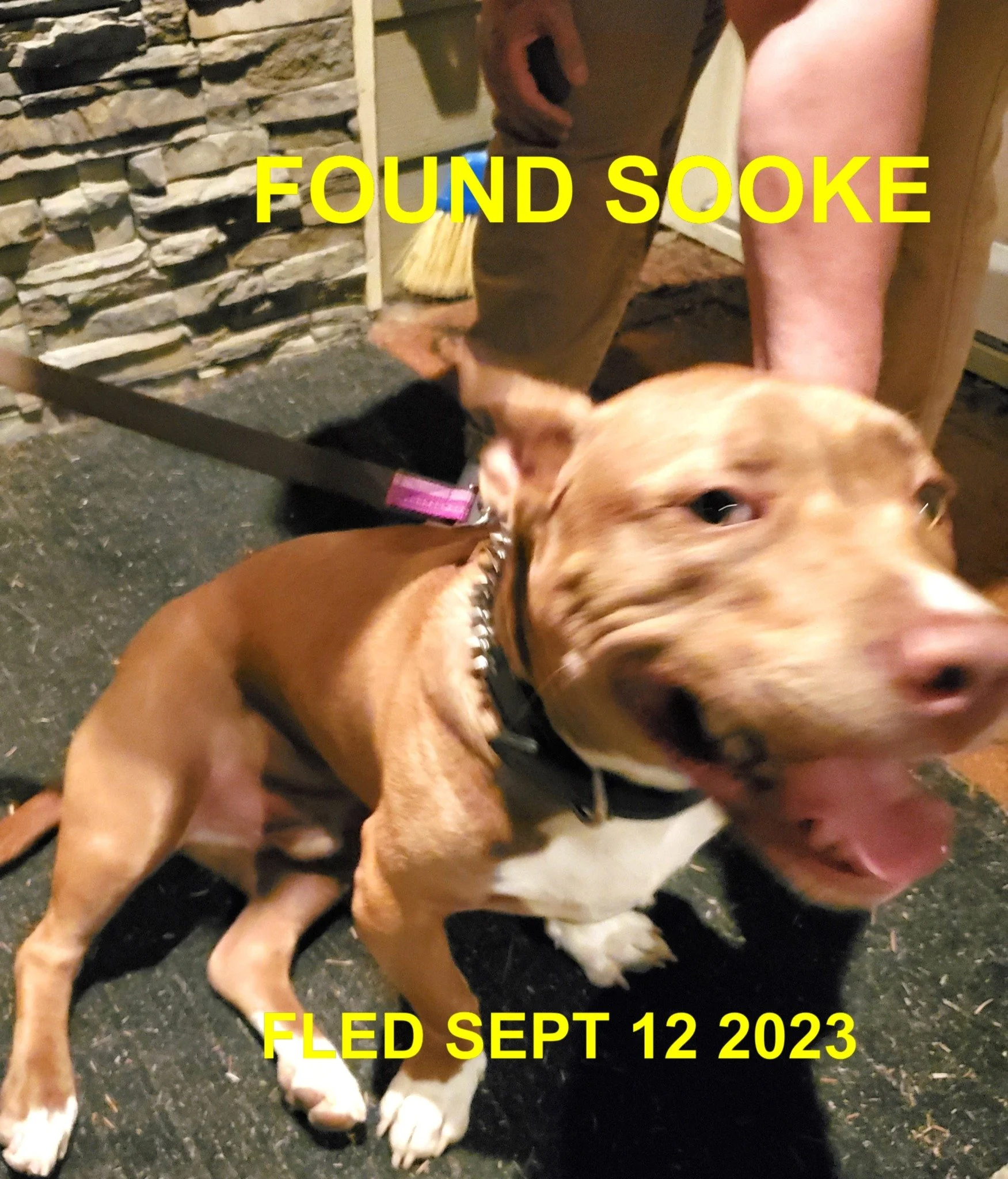 HAPPY ENDINGS - SOOKE BC. / SEPT 12, 2023