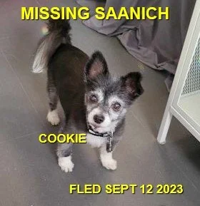 HAPPY ENDINGS - SAANICH BC. / SENIOR COOKIE / SEPT 12, 2023