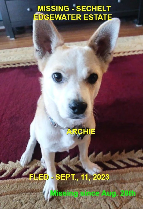 HAPPY ENDINGS - SECHELT BC. / ARCHIE / AUG. 28, 2023