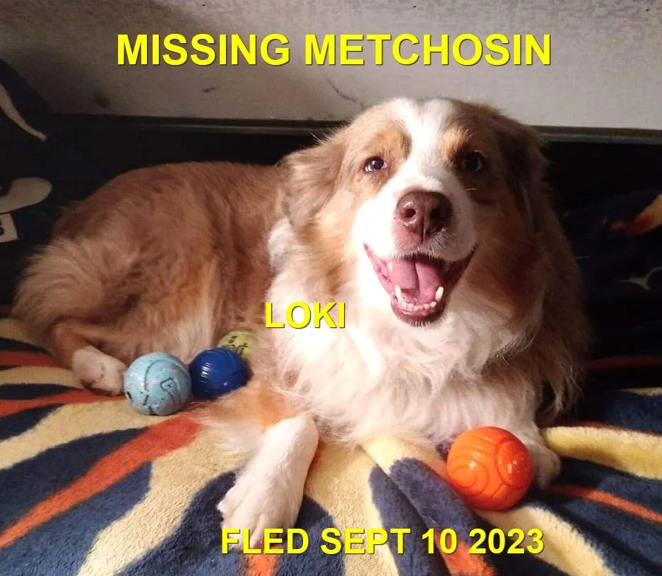 CAME HOME ON OWN / HAPPY ENDINGS - METCHOSIN BC. / LOKI / SEPT. 10, 2023