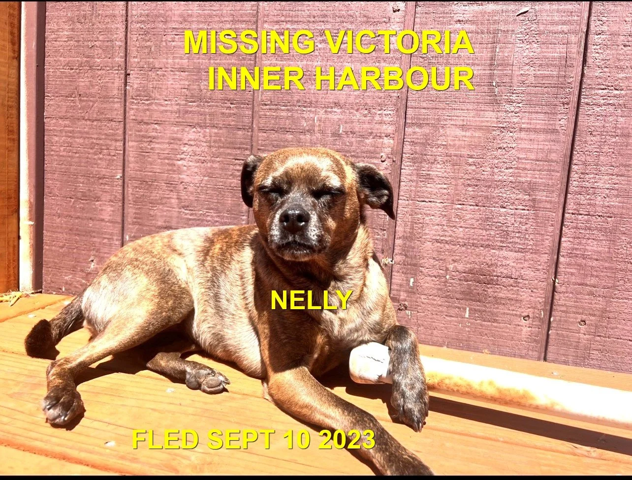 HAPPY ENDINGS - VICTORIA BC. / NELLY / SEPT. 9, 2023