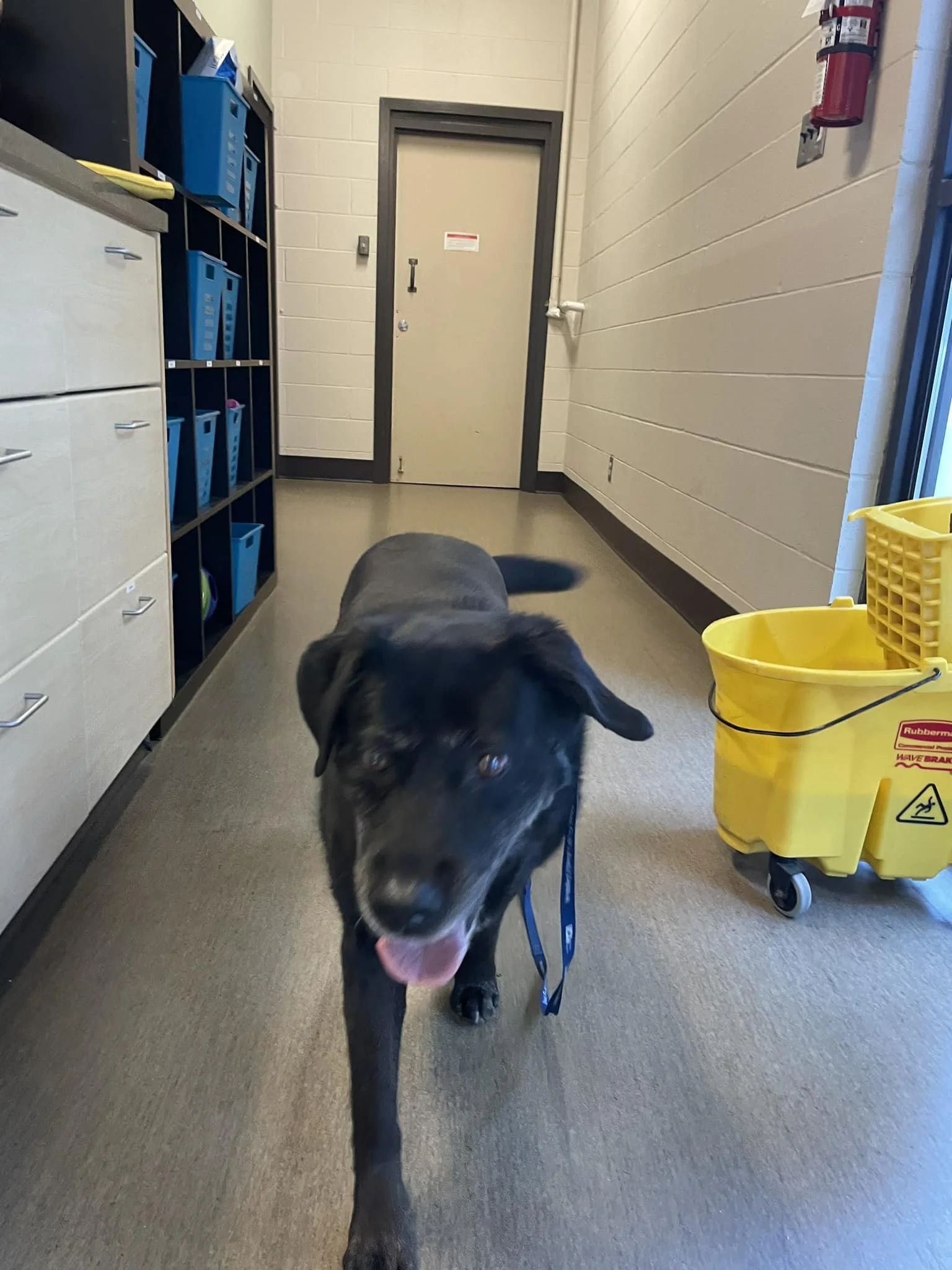 GONE TO SHELTER / HAPPY ENDINGS - NANAIMO BC. / SEPT 9, 2023