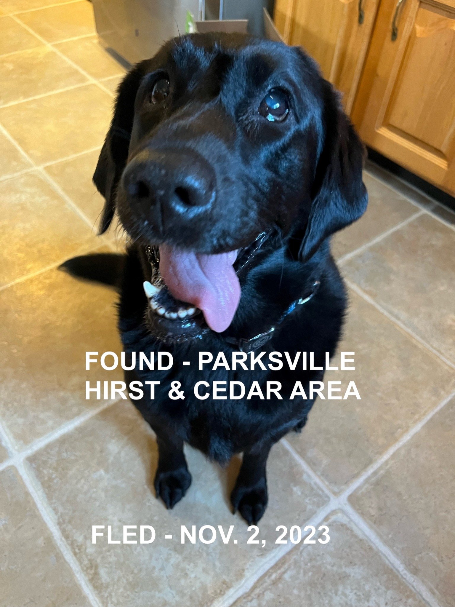 HAPPY ENDINGS - PARKSVILLE BC. / NOV. 2, 2023