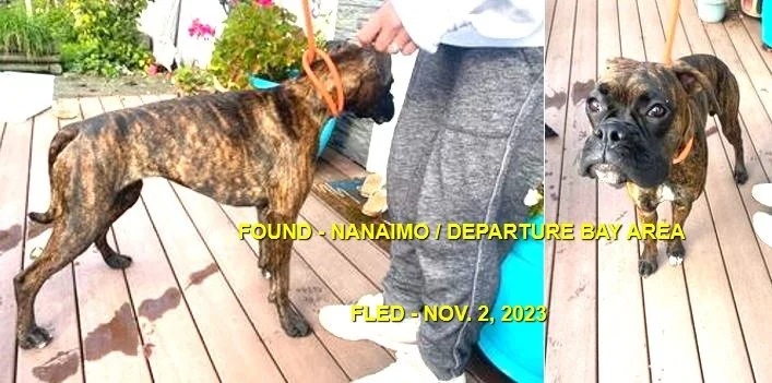 HAPPY ENDINGS - NANAIMO BC. / KYRA / NOV. 2, 2023