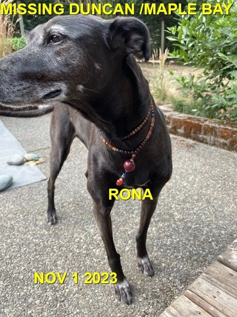 HAPPY ENDINGS - DUNCAN BC. / RONA / NOV. 1, 2023