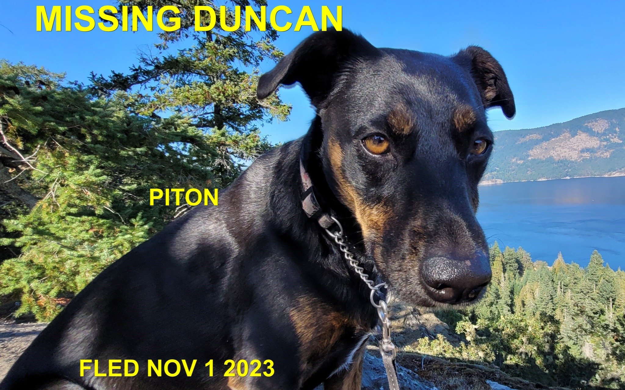HAPPY ENDINGS - DUNCAN BC. / PITON / OCT. 31, 2023