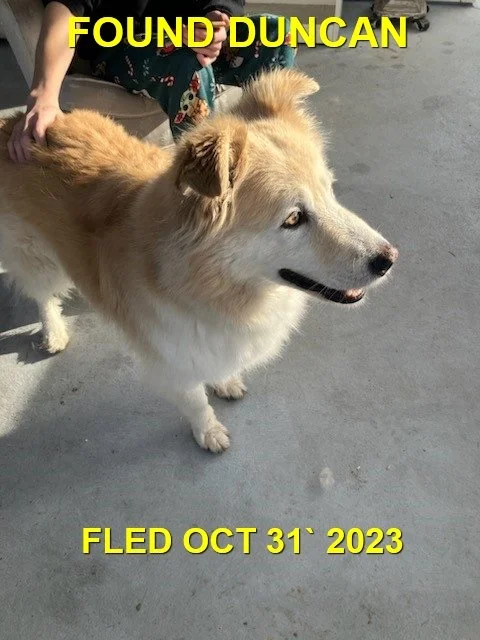 HAPPY ENDINGS - DUNCAN BC. / OCT. 31, 2023