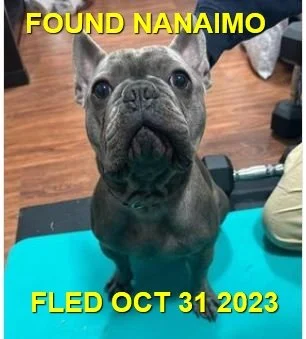 HAPPY ENDINGS - NANAIMO BC. / OCT 31, 2023