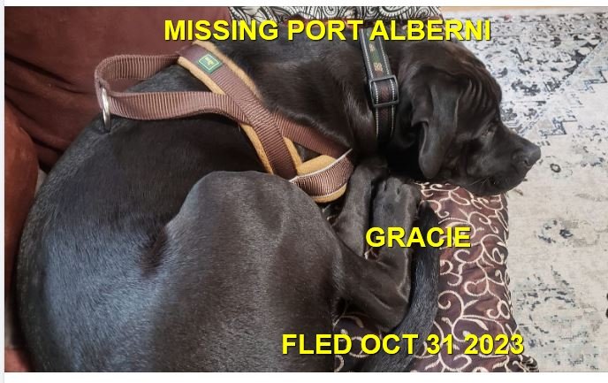 HAPPY ENDINGS - PORT ALBERNI BC. / GRACIE / OCT. 30, 2023