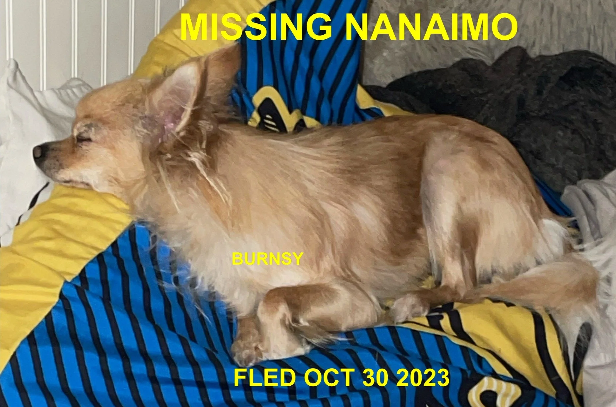 HAPPY ENDINGS - WENT HOME ON HER OWN - NANAIMO BC. / BURNSY / OCT. 30, 2023