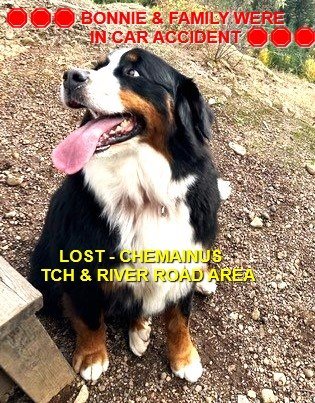 HAPPY ENDINGS - CHEMAINUS BC. /  BONNIE &amp; FAMILY WERE IN CAR ACCIDENT / OCT. 29, 2023