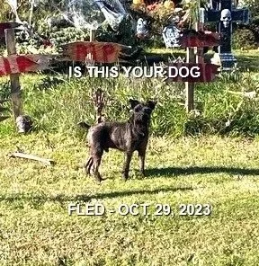 HAPPY ENDINGS - NANAIMO BC. / OCT. 29, 2023