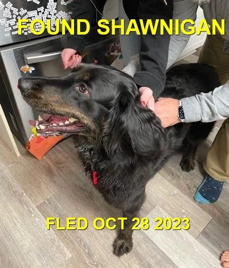 HAPPY ENDINGS - SHAWNIGAN LAKE BC. / OCT. 28, 2023
